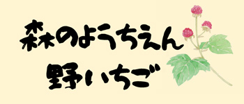 森のようちえん野いちご